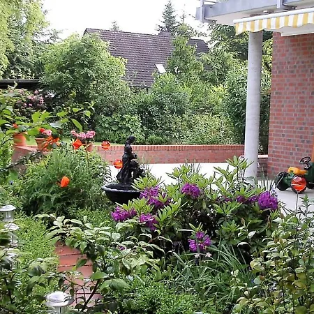 Sasishaus-2